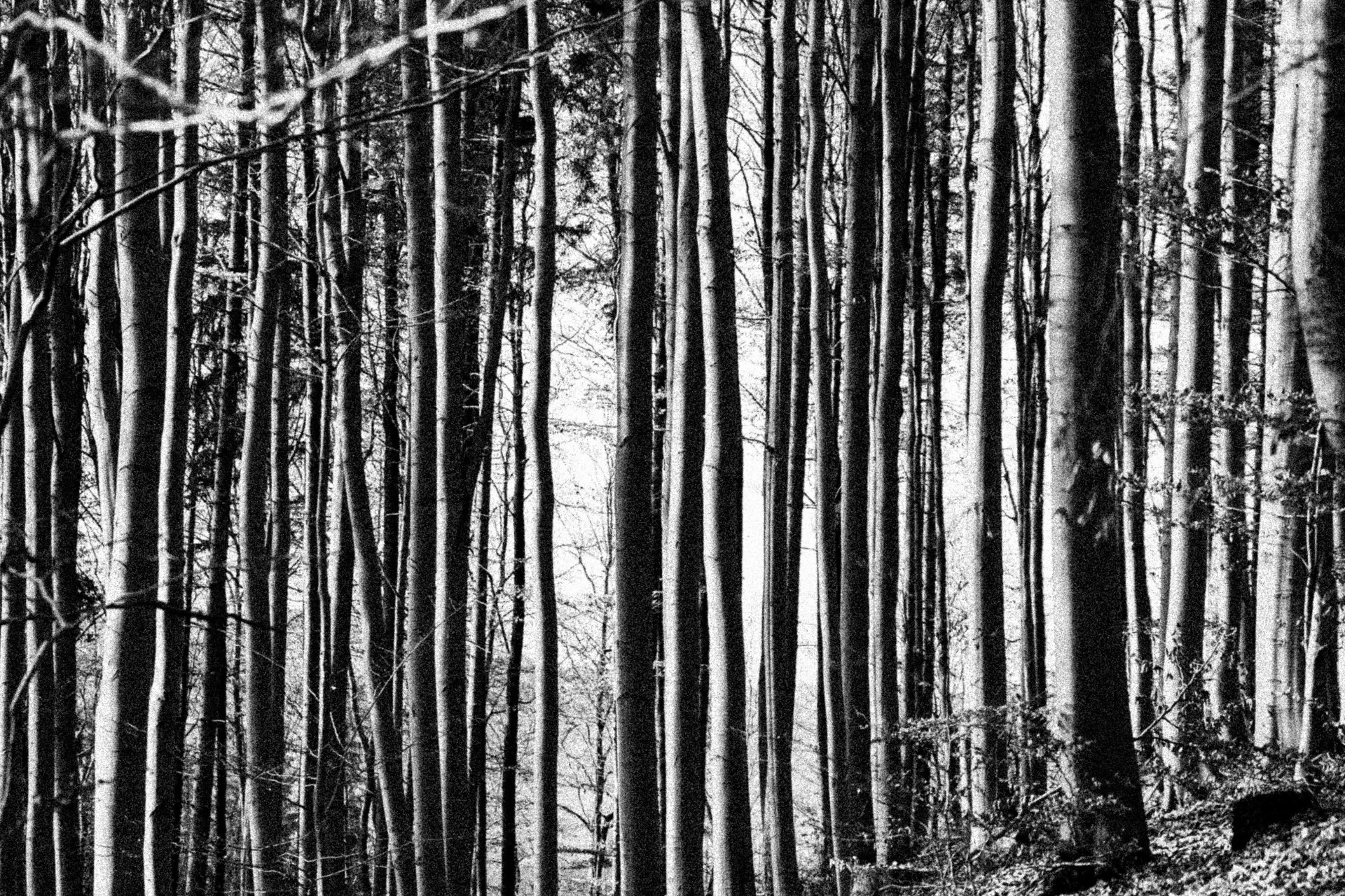 Fotograf Martin Plíva